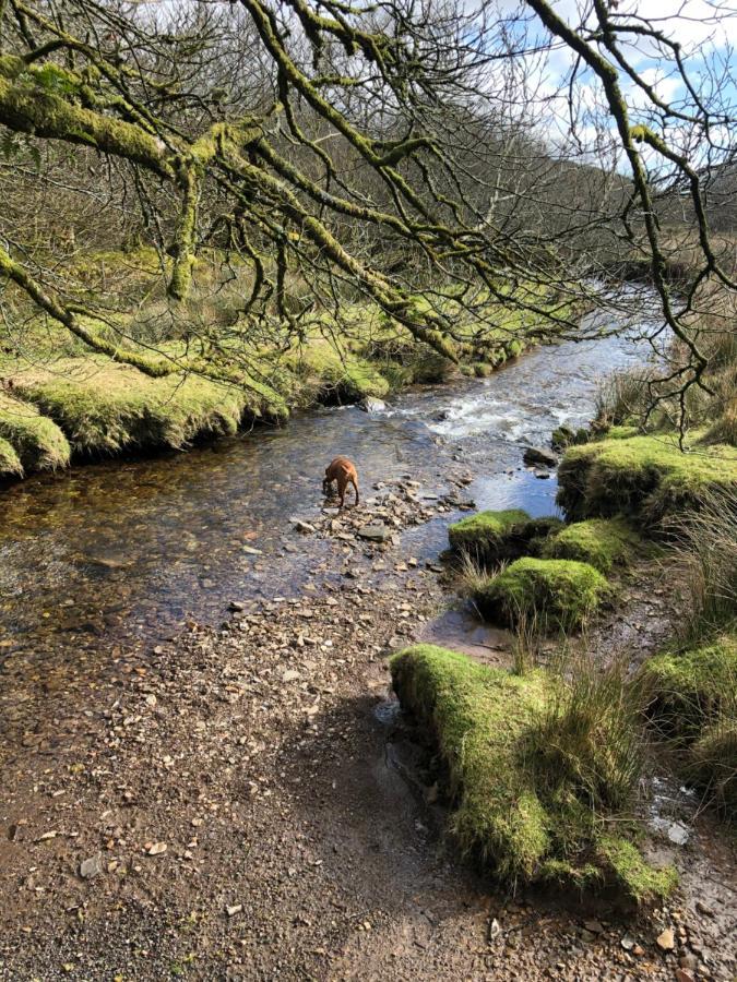 The Hayloft, Exmoor Bed and Breakfast Withypool Esterno foto