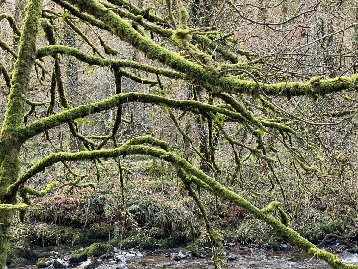 The Hayloft, Exmoor Bed and Breakfast Withypool Esterno foto