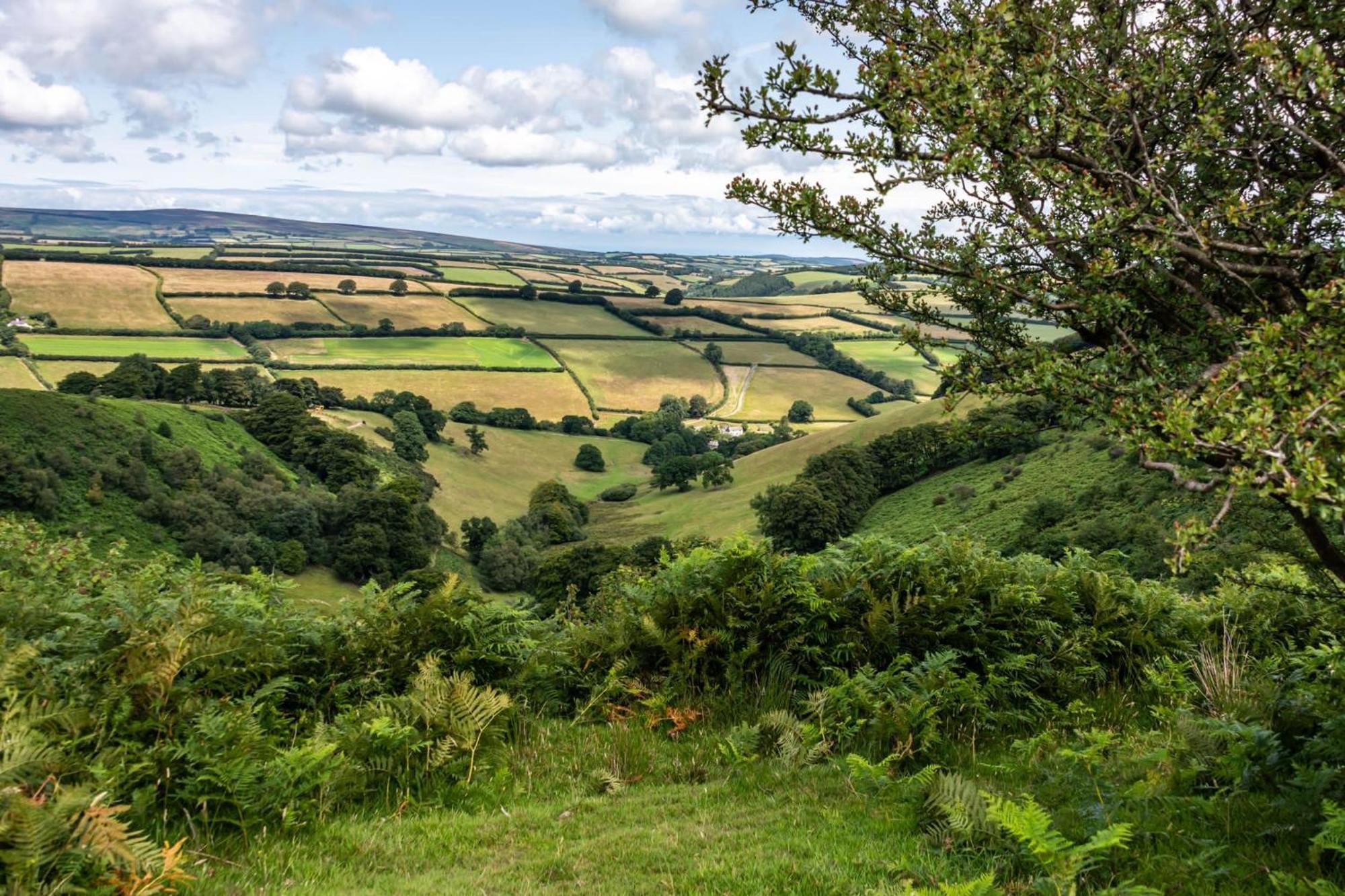 The Hayloft, Exmoor Bed and Breakfast Withypool Esterno foto